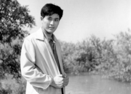 演员王伟平现状,从演艺巅峰到低调生活，探寻演员的蜕变之路