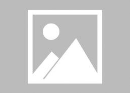 陕西女主播刘大美,网络红人的崛起与影响力